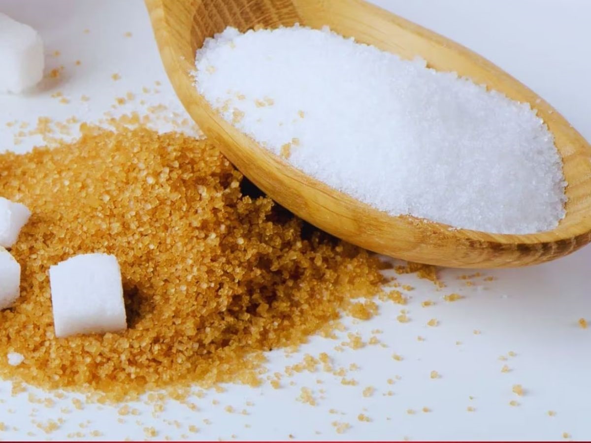 Brown vs White Sugar for Diabetes: બ્રાઉન સુગર કે સફેદ સુગર... ડાયાબિટીસના દર્દીઓ ખાંડ ખાવી જોઈએ? જાણો Brown vs White Sugar for Diabetes: બ્રાઉન સુગર કે સફેદ સુગર... ડાયાબિટીસના દર્દીઓ ખાંડ ખાવી જોઈએ? જાણો