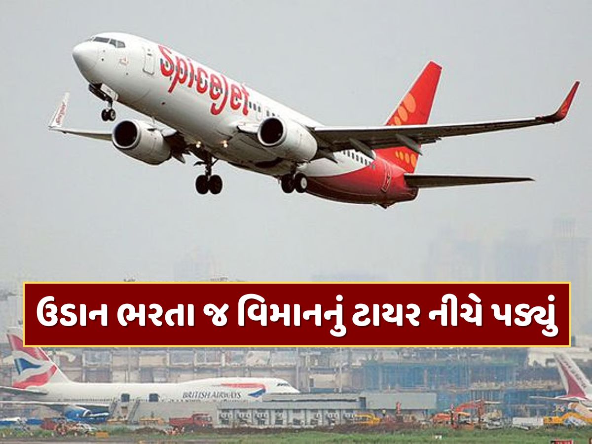 ગુજરાતથી ઉડાન ભરતા જ સ્પાઈસજેટના વિમાનનું ટાયર નીચે પડ્યું, 75 મુસાફરો હતા સવાર ગુજરાતથી ઉડાન ભરતા જ સ્પાઈસજેટના વિમાનનું ટાયર નીચે પડ્યું, 75 મુસાફરો હતા સવાર