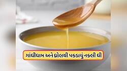 રાજ્યમાં વિવિધ સ્થળે નકલી ઘી બનાવતા એકમો પર દરોડા, 1.4 કરોડનો માલ કરવામાં આવ્યો જપ્ત