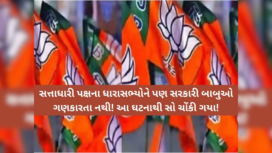 ગુજરાતના ધારાસભ્ય અને સરકારી બાબુઓ વચ્ચે શાબ્દિક ટપાટપી! કહ્યું; 'ફોન કરો એટલે ખાડા ન પૂરાય'