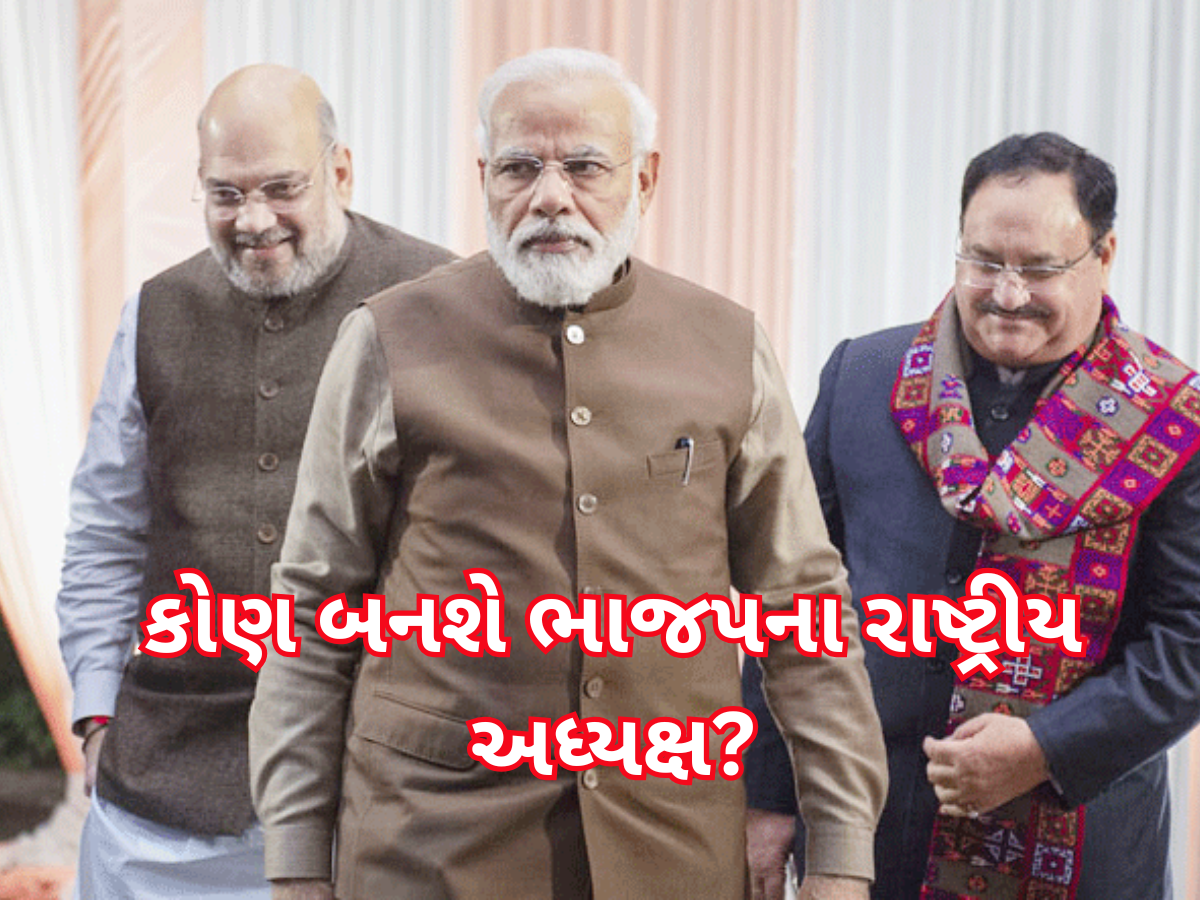 મોટી બાધા દૂર થઈ? ભાજપના રાષ્ટ્રીય અધ્યક્ષ અંગે ગમે ત્યારે થઈ શકે એલાન, રેસમાં 4 મંત્રીઓના નામ મોટી બાધા દૂર થઈ? ભાજપના રાષ્ટ્રીય અધ્યક્ષ અંગે ગમે ત્યારે થઈ શકે એલાન, રેસમાં 4 મંત્રીઓના નામ