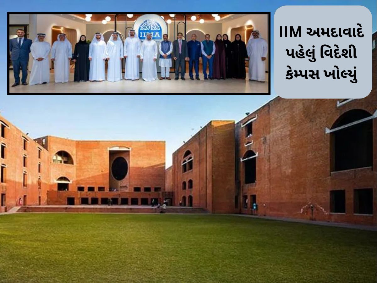 ભારત સરકારની અનોખી પહેલ! દૂબઈમાં શરૂ થયું IIM અમદાવાદનું પહેલું વિદેશી કેમ્પસ ભારત સરકારની અનોખી પહેલ! દૂબઈમાં શરૂ થયું IIM અમદાવાદનું પહેલું વિદેશી કેમ્પસ