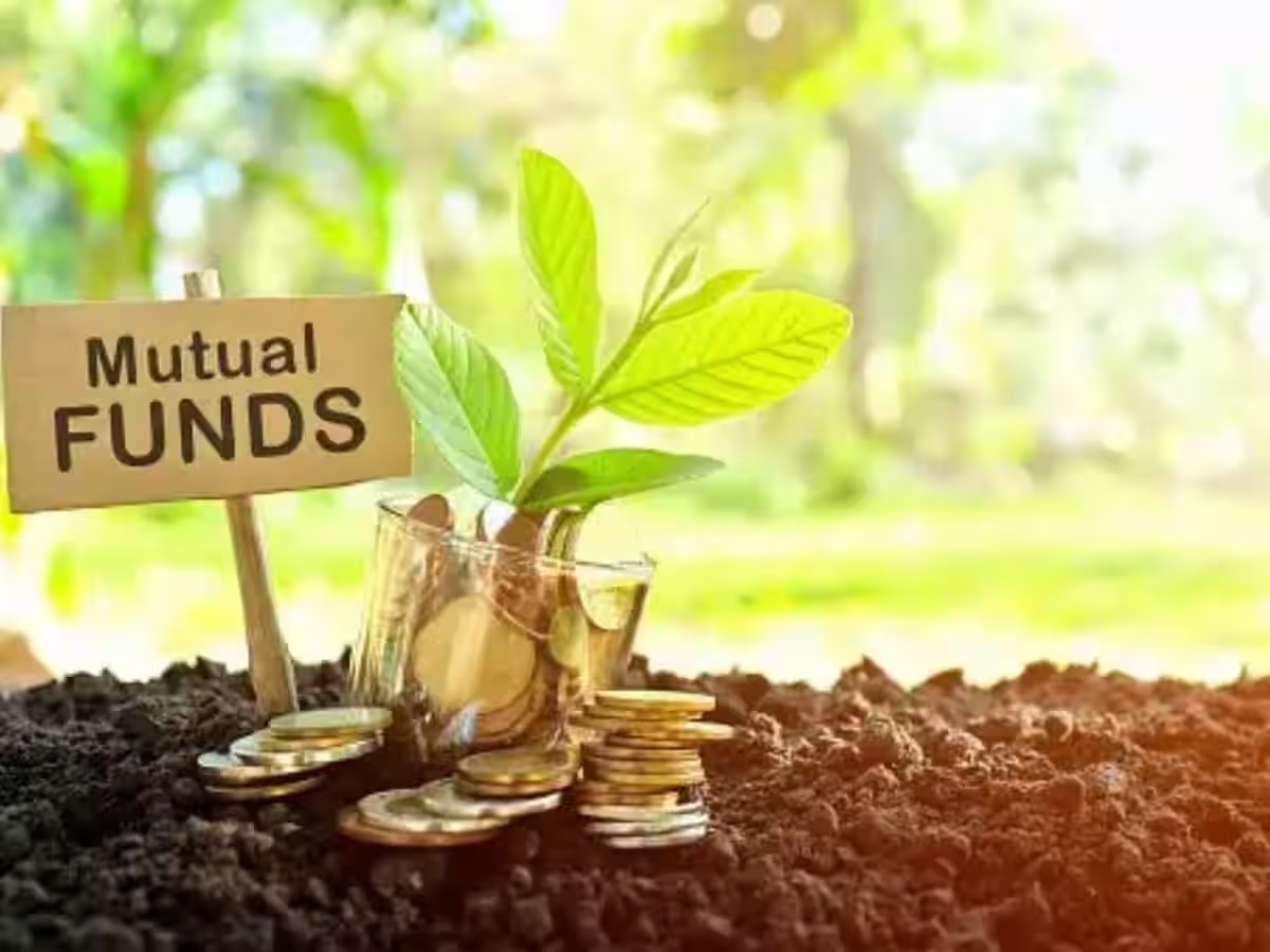 Mutual Fundમાં રોકાણ કરવું હોય તો સમજી લો 15x15x15 ફોર્મ્યુલા, જલ્દી બની જશો કરોડપતિ Mutual Fundમાં રોકાણ કરવું હોય તો સમજી લો 15x15x15 ફોર્મ્યુલા, જલ્દી બની જશો કરોડપતિ