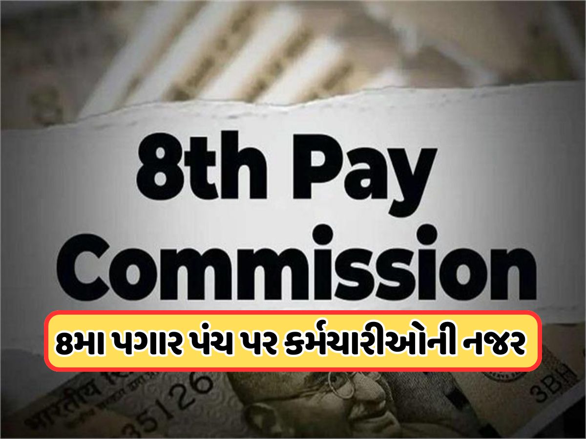 8th Pay Commission: કેન્દ્રીય કર્મચારીઓ માટે મોટા સમાચાર, દિવાળી પહેલા થઈ શકે છે મોટી જાહેરાત 8th Pay Commission: કેન્દ્રીય કર્મચારીઓ માટે મોટા સમાચાર, દિવાળી પહેલા થઈ શકે છે મોટી જાહેરાત