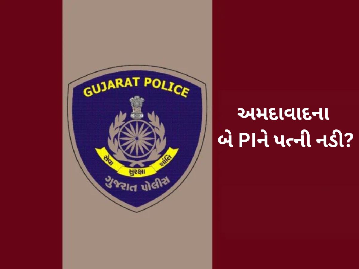 બે PI ની બદલી અધિકારીઓની આંખો ચાર થઈ! ગુજરાત પોલીસમાં ટોકિંગ પોઈન્ટ બન્યો આ કિસ્સો બે PI ની બદલી અધિકારીઓની આંખો ચાર થઈ! ગુજરાત પોલીસમાં ટોકિંગ પોઈન્ટ બન્યો આ કિસ્સો