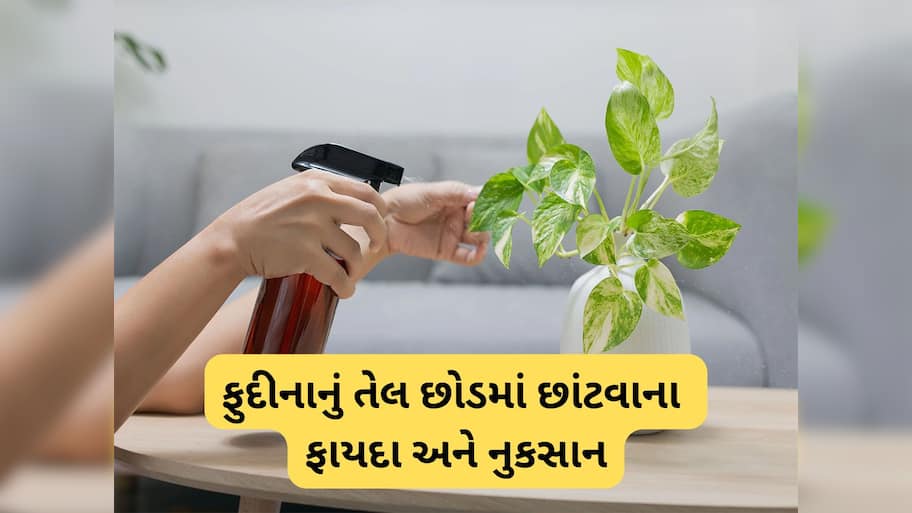 Peppermint Oil: છોડની માટીમાં ફુદીનાનું તેલ નાખવાથી થતા લાભ વિશે જાણો