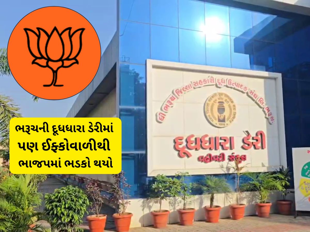 ભાજપમાં ફરી ઈફ્કોવાળી થઈ! હાઈકમાન્ડે 9 નેતાઓને સસ્પેન્ડ કરી દેતા રાજકીય ખળભળાટ મચી ગયો ભાજપમાં ફરી ઈફ્કોવાળી થઈ! હાઈકમાન્ડે 9 નેતાઓને સસ્પેન્ડ કરી દેતા રાજકીય ખળભળાટ મચી ગયો