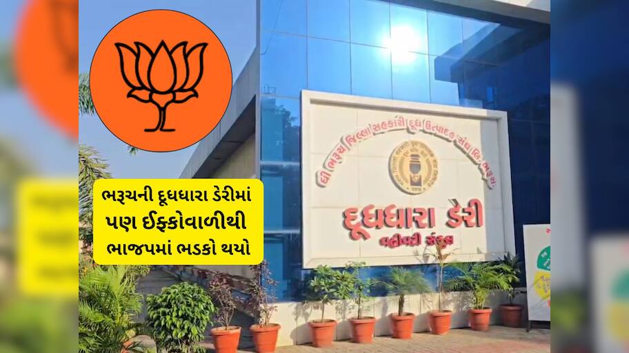 ભાજપમાં ફરી ઈફ્કોવાળી થઈ! હાઈકમાન્ડે 9 નેતાઓને સસ્પેન્ડ કરી દેતા રાજકીય ખળભળાટ મચી ગયો  
