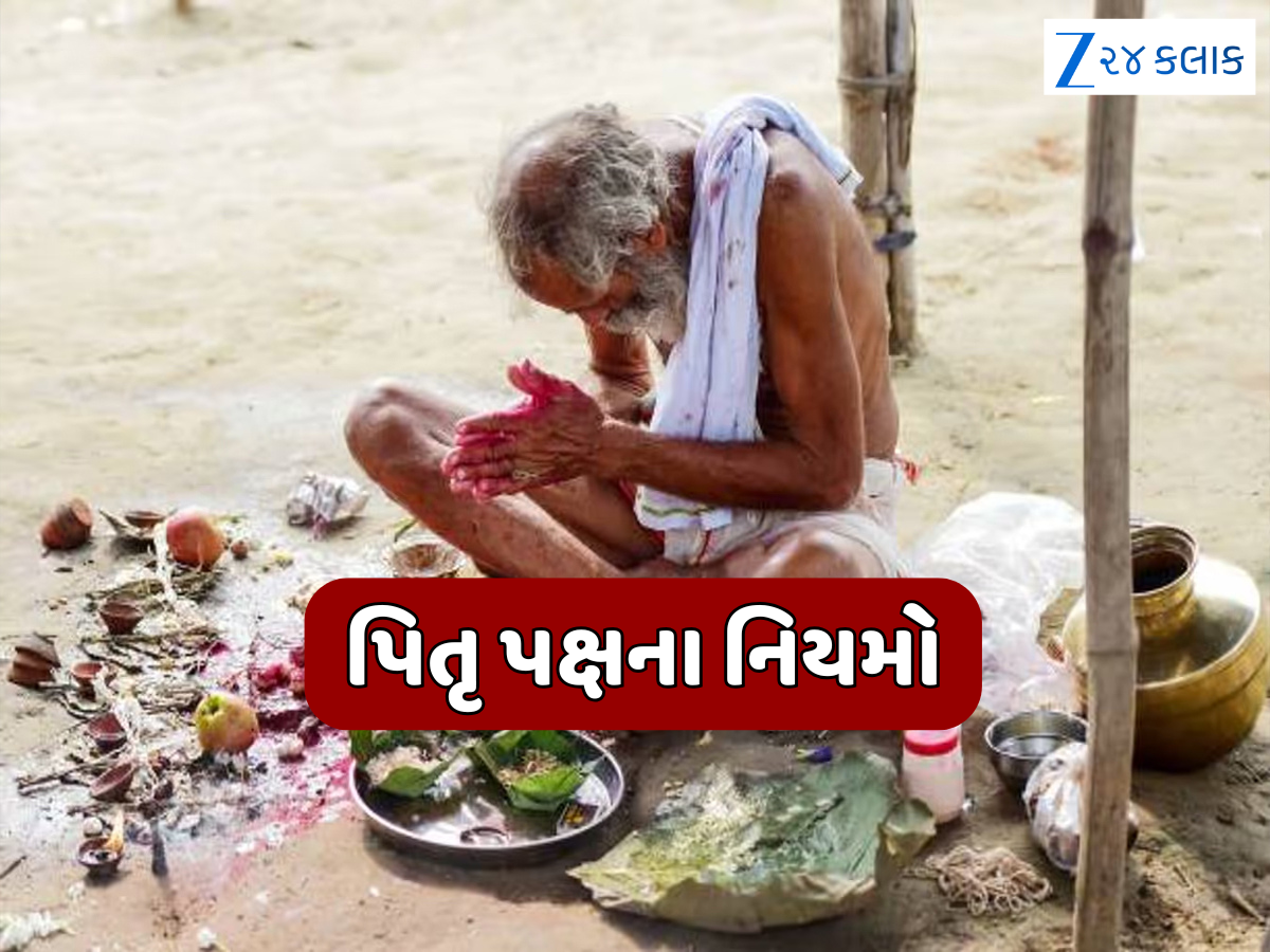 Pitru Paksha Rules: પિતૃ પક્ષમાં શારીરિક સંબંધ બાંધવા જોઈએ કે નહીં? બાકીના દિવસોમાં ભૂલથી પણ ન કરવા જોઈએ આ 5 કામ! Pitru Paksha Rules: પિતૃ પક્ષમાં શારીરિક સંબંધ બાંધવા જોઈએ કે નહીં? બાકીના દિવસોમાં ભૂલથી પણ ન કરવા જોઈએ આ 5 કામ!