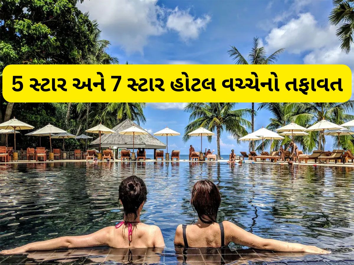 5 સ્ટાર અને 7 સ્ટાર હોટલમાં આ સુવિધા મળે ફ્રીમાં, 99 ટકા લોકો અજાણ હોવાથી નથી લઈ શકતા લાભ 5 સ્ટાર અને 7 સ્ટાર હોટલમાં આ સુવિધા મળે ફ્રીમાં, 99 ટકા લોકો અજાણ હોવાથી નથી લઈ શકતા લાભ