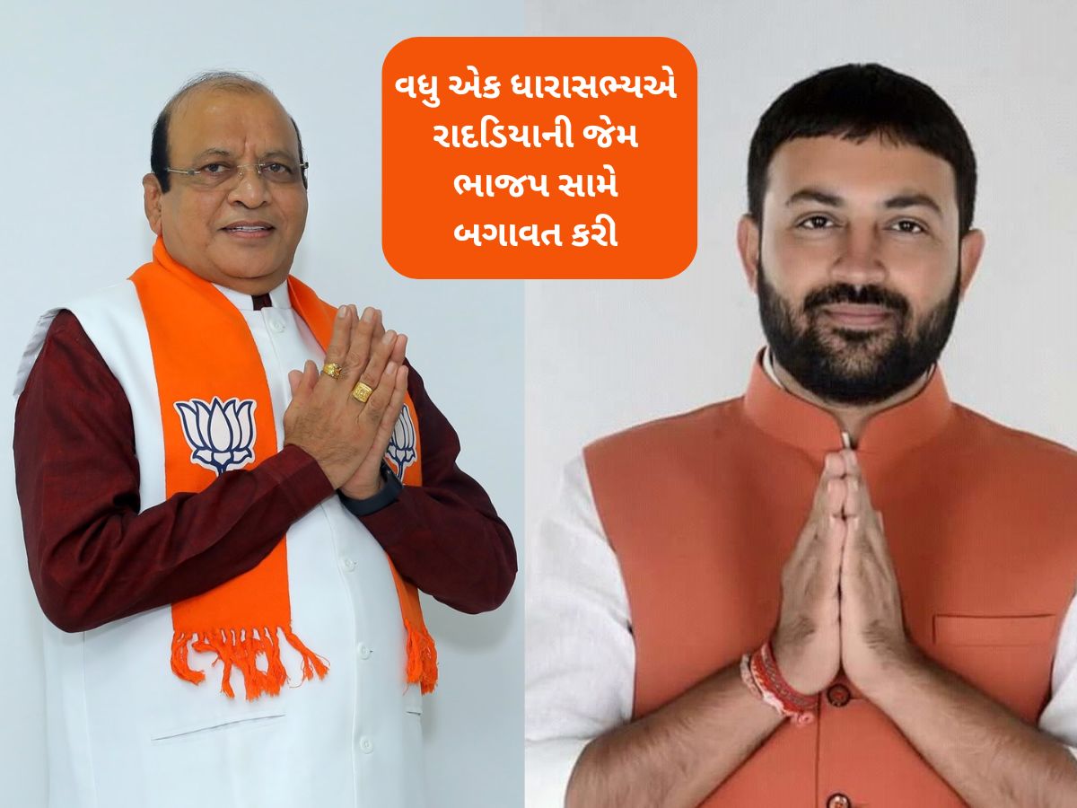 ભાજપને મેન્ડેટવાળી કરવી ભારે પડી! ધારાસભ્ય અરુણસિંહ રાણાએ પક્ષ સામે જ પડકાર ફેંક્યો ભાજપને મેન્ડેટવાળી કરવી ભારે પડી! ધારાસભ્ય અરુણસિંહ રાણાએ પક્ષ સામે જ પડકાર ફેંક્યો