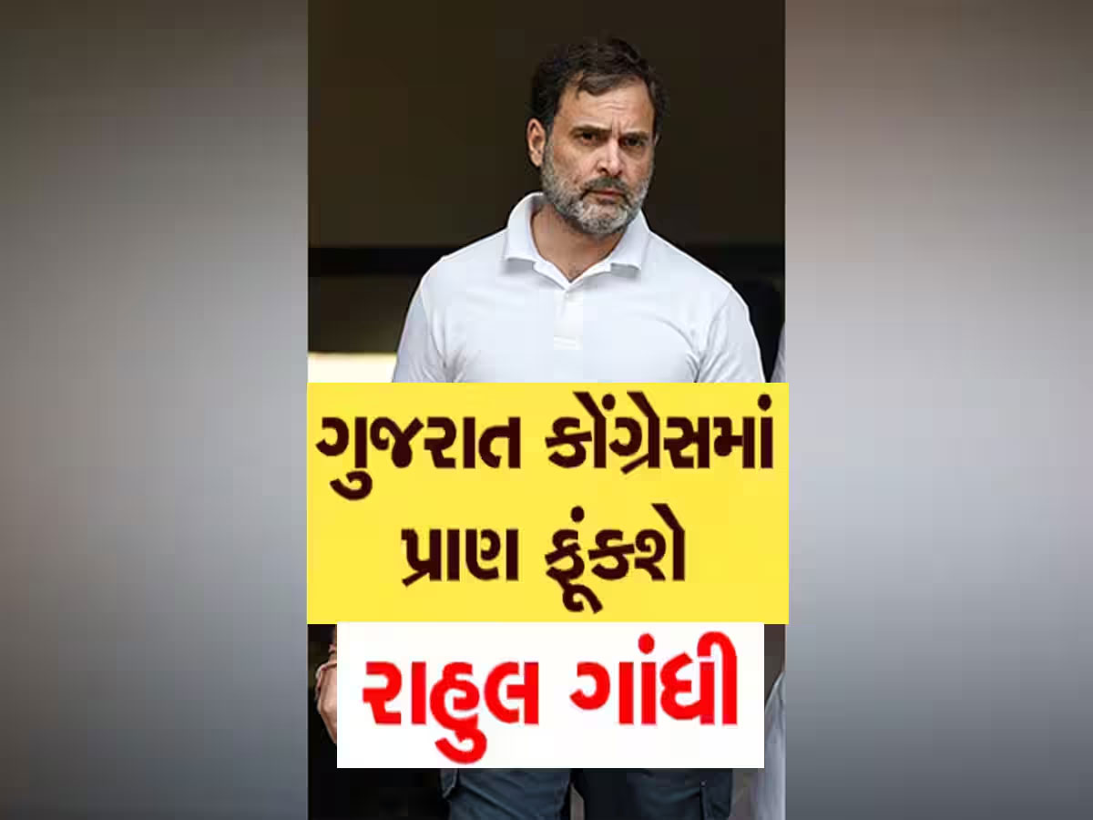 ખુદ રાહુલ ગાંધીએ સંભાળ્યો ગુજરાતનો મોરચો, 18 સપ્ટેમ્બરે ગોઠવાયો ખાસ કાર્યક્રમ ખુદ રાહુલ ગાંધીએ સંભાળ્યો ગુજરાતનો મોરચો, 18 સપ્ટેમ્બરે ગોઠવાયો ખાસ કાર્યક્રમ