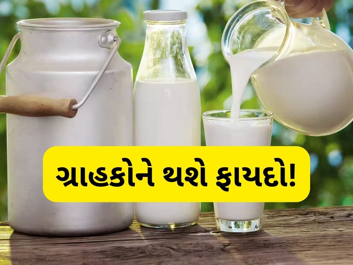 દૂધ, ઘી, પનીર... બધુ સસ્તું મળશે, આ ડેરીએ ઘટાડી દીધો ભાવ, GST ઘટાડાની અસર દૂધ, ઘી, પનીર... બધુ સસ્તું મળશે, આ ડેરીએ ઘટાડી દીધો ભાવ, GST ઘટાડાની અસર