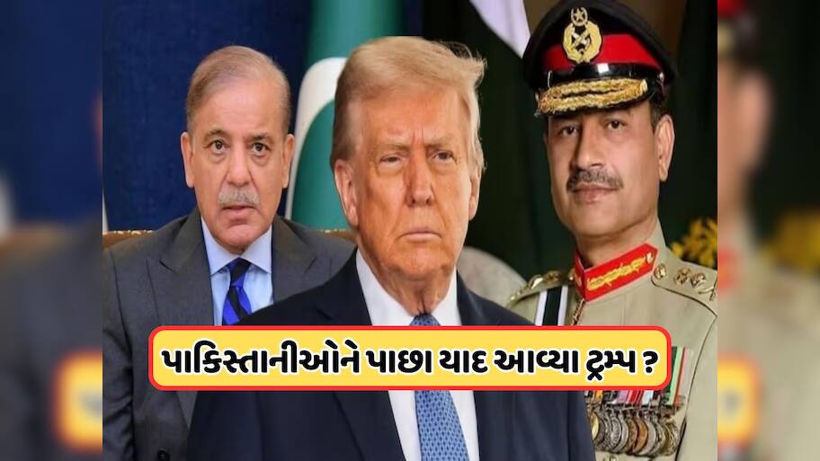 ટ્રમ્પને ફરી મળશે શાહબાઝ અને અસીમ મુનીર, ભારત વિરૂદ્ધ ભરશે નફરત! શું છે મુલાકાતનો હેતુ ?