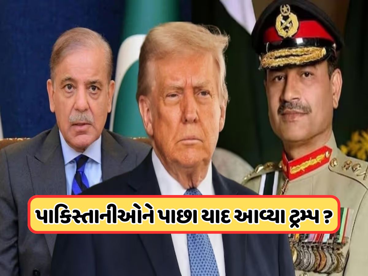 ટ્રમ્પને ફરી મળશે શાહબાઝ અને અસીમ મુનીર, ભારત વિરૂદ્ધ ભરશે નફરત! શું છે મુલાકાતનો હેતુ ? ટ્રમ્પને ફરી મળશે શાહબાઝ અને અસીમ મુનીર, ભારત વિરૂદ્ધ ભરશે નફરત! શું છે મુલાકાતનો હેતુ ?