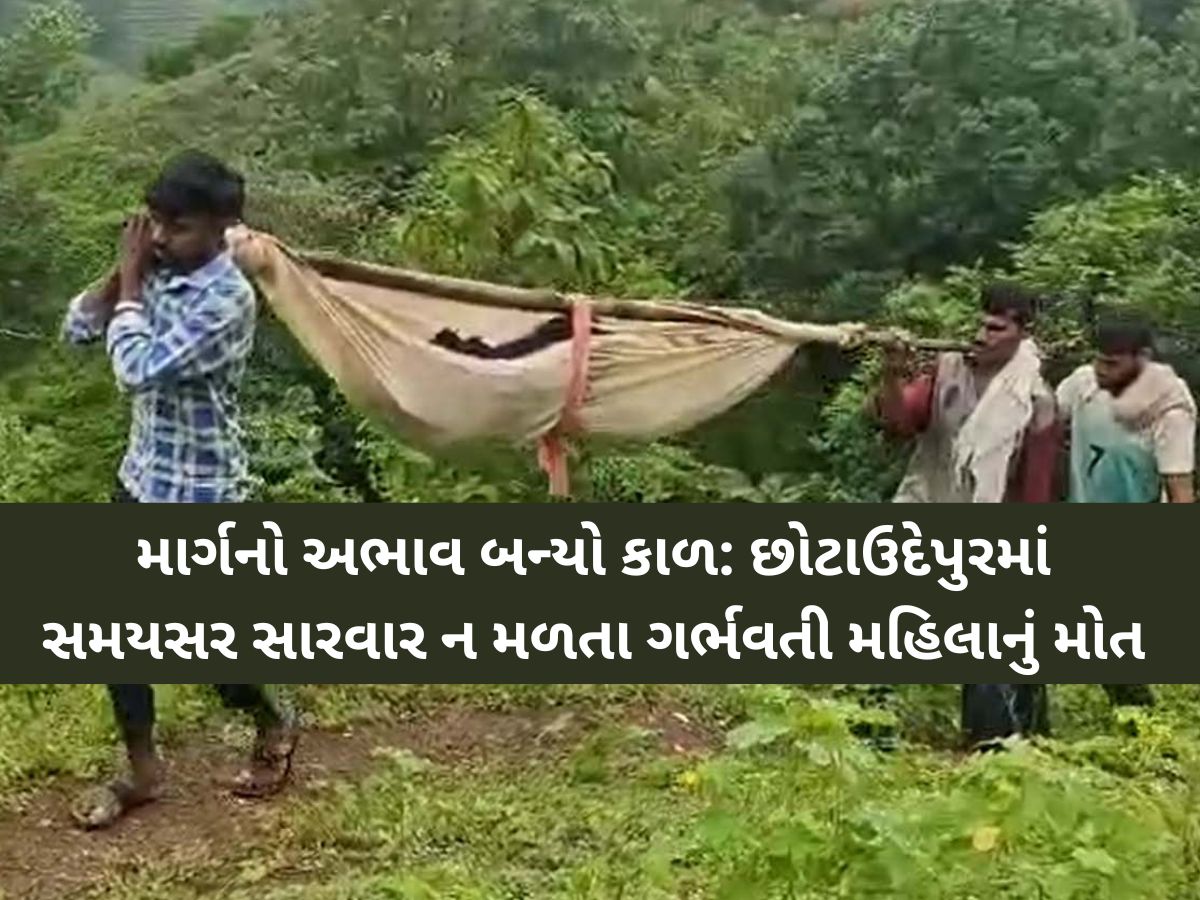 ઝોળીમાં ઝોલા ખાતી જિંદગી: છોટાઉદેપુરમાં રસ્તાના અભાવે પ્રસૂતાનું કરૂણ મોત, તંત્રની બેદરકારી સામે સવાલ ઝોળીમાં ઝોલા ખાતી જિંદગી: છોટાઉદેપુરમાં રસ્તાના અભાવે પ્રસૂતાનું કરૂણ મોત, તંત્રની બેદરકારી સામે સવાલ