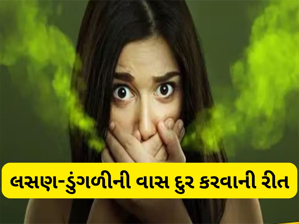 Bad Breath Remedies: લસણ-ડુંગળી ખાધા પછી મોં માંથી નહીં આવે વાસ, જમ્યા પછી આ કામ કરી લેજો Bad Breath Remedies: લસણ-ડુંગળી ખાધા પછી મોં માંથી નહીં આવે વાસ, જમ્યા પછી આ કામ કરી લેજો