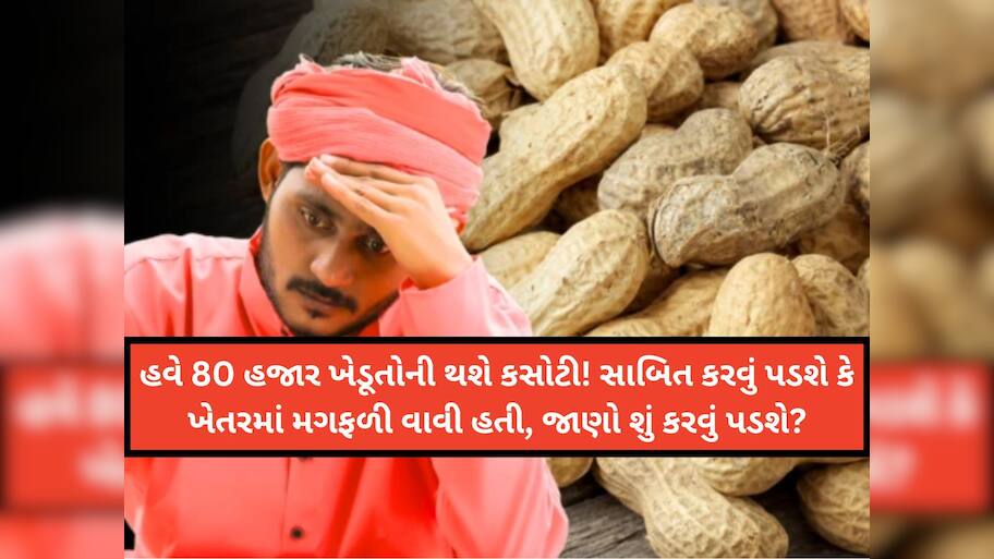 સેટેલાઇટ ઇમેજમાં પાક ન દેખાતા ટેકાના ભાવે મગફળીનું રજિસ્ટ્રેશન રદ! અનેક ખેડૂતોએ ઠાલવ્યો આક્રોશ