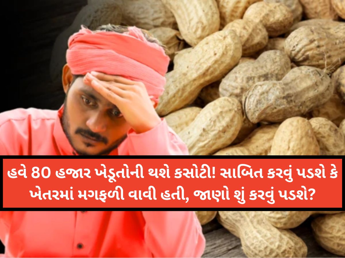 સેટેલાઇટ ઇમેજમાં પાક ન દેખાતા ટેકાના ભાવે મગફળીનું રજિસ્ટ્રેશન રદ! અનેક ખેડૂતોએ ઠાલવ્યો આક્રોશ સેટેલાઇટ ઇમેજમાં પાક ન દેખાતા ટેકાના ભાવે મગફળીનું રજિસ્ટ્રેશન રદ! અનેક ખેડૂતોએ ઠાલવ્યો આક્રોશ