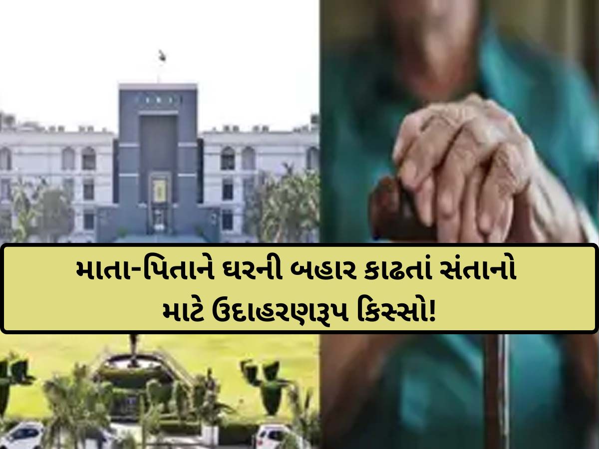 'તમારું રુવેરુવું ચૂકવો તોય પિતૃઋણથી મુક્ત નહીં થઈ શકો, 24 કલાકમાં પિતાનું ઘર ખાલી કરો! હાઈકોર્ટે લીધો ઉધડો 'તમારું રુવેરુવું ચૂકવો તોય પિતૃઋણથી મુક્ત નહીં થઈ શકો, 24 કલાકમાં પિતાનું ઘર ખાલી કરો! હાઈકોર્ટે લીધો ઉધડો