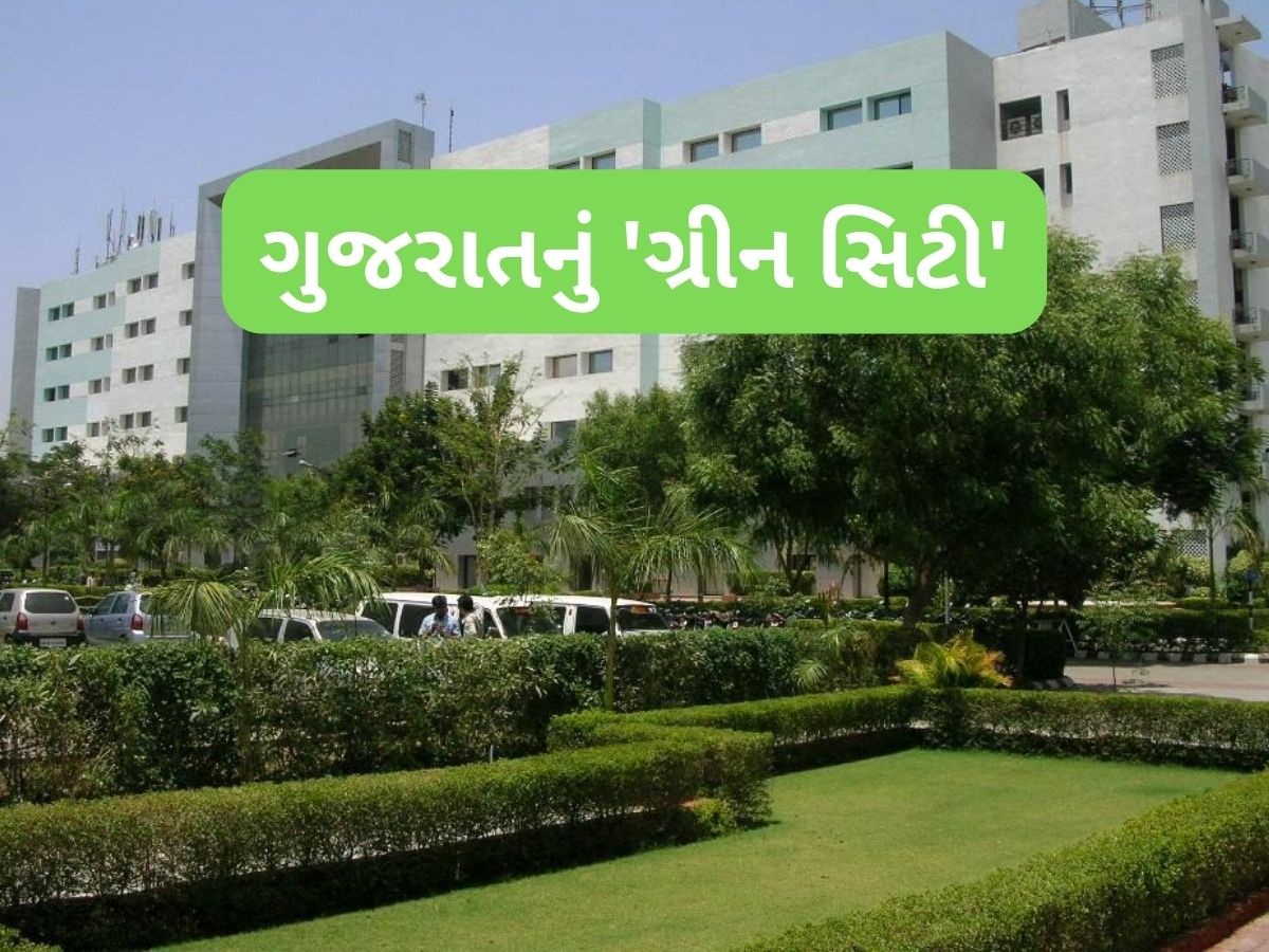 ગુજરાતનું એક એવું શહેર જ્યાં પ્રદૂષણ નહીં, હરિયાળી છે, જાણો તેને કેમ કહેવામાં આવે છે "ગ્રીન સિટી" ગુજરાતનું એક એવું શહેર જ્યાં પ્રદૂષણ નહીં, હરિયાળી છે, જાણો તેને કેમ કહેવામાં આવે છે "ગ્રીન સિટી"