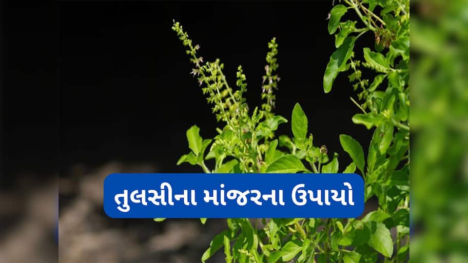 Guruwar Upay: આ ઉપાયોમાંથી એક ઉપાય પણ ગુરુવારે કરી લીધો તો ધન્ય થઈ જશો, ઘરમાં ધનની ખામી ક્યારેય નહીં સર્જાય