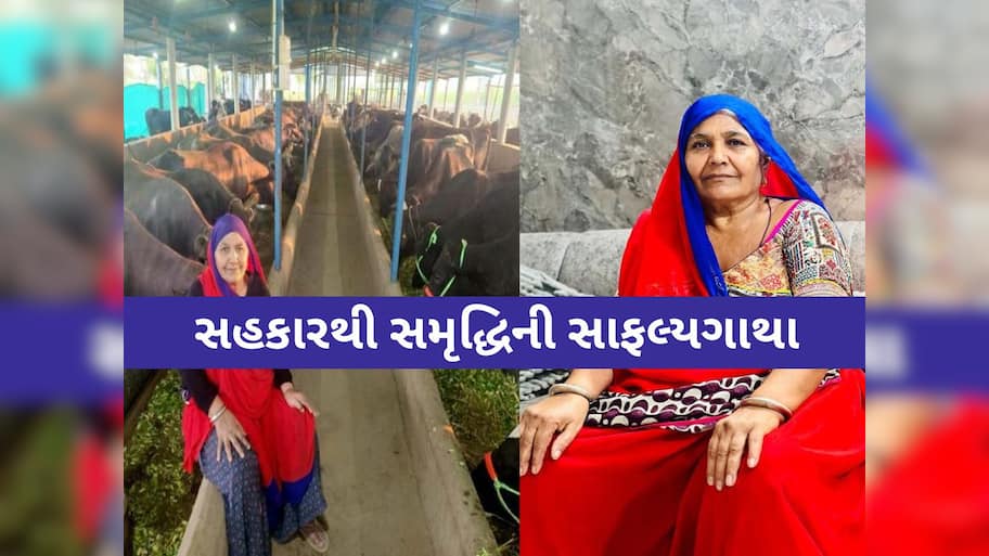બનાસકાંઠાના માનીબેને 2024-25માં 1.94 કરોડનું દૂધ વેચ્યું, આ વર્ષે પણ 3 કરોડનું દૂધ વેચવાનું લક્ષ્યાંક