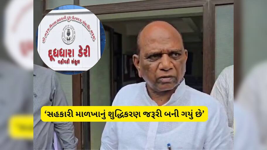 આ શું બોલી ગયા મનસુખ વસાવા! દૂધધારા ડેરીની ચૂંટણી પહેલા સહકારી માળખા પર ઉઠાવ્યો સણસણતો સવાલ