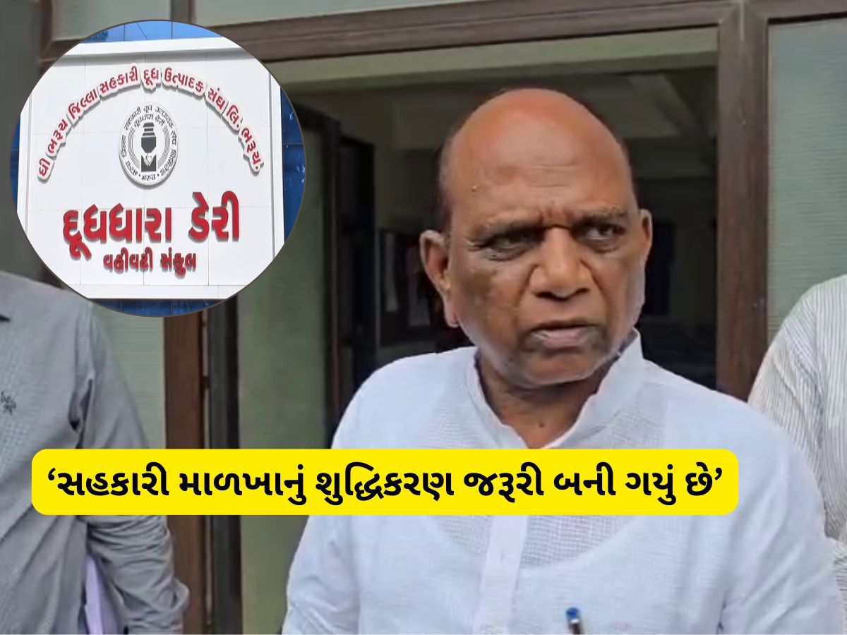 આ શું બોલી ગયા મનસુખ વસાવા! દૂધધારા ડેરીની ચૂંટણી પહેલા સહકારી માળખા પર ઉઠાવ્યો સણસણતો સવાલ આ શું બોલી ગયા મનસુખ વસાવા! દૂધધારા ડેરીની ચૂંટણી પહેલા સહકારી માળખા પર ઉઠાવ્યો સણસણતો સવાલ