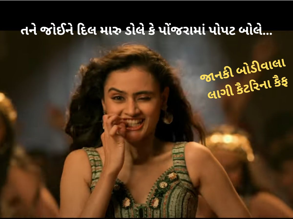 તને જોઈને દિલ મારુ ડોલે કે પોંજરામાં પોપટ બોલે….! બોલિવુડ આઈટમ સોન્ગના ટચ જેવું પહેલું ગુજરાતી ગીત તને જોઈને દિલ મારુ ડોલે કે પોંજરામાં પોપટ બોલે….! બોલિવુડ આઈટમ સોન્ગના ટચ જેવું પહેલું ગુજરાતી ગીત