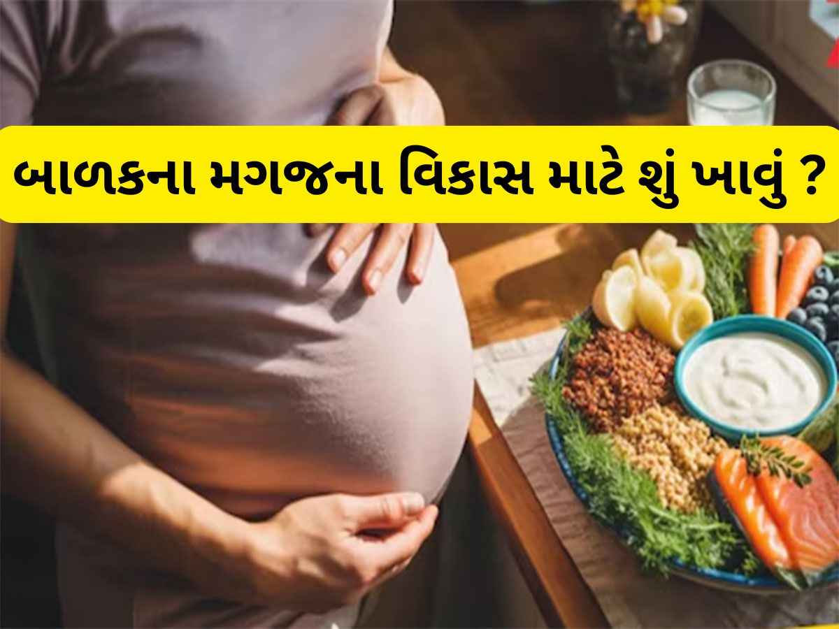 Brain Development: પ્રેગ્નેંસીમાં આ વસ્તુઓ ખાવી જ જોઈએ મહિલાએ, ઝડપથી થશે બાળકના મગજનો વિકાસ Brain Development: પ્રેગ્નેંસીમાં આ વસ્તુઓ ખાવી જ જોઈએ મહિલાએ, ઝડપથી થશે બાળકના મગજનો વિકાસ