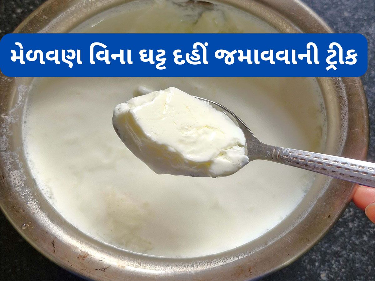Curd: મેળવણ વિના દહીં જમાવવાની રીત, એકવાર ટ્રાય કરવા જેવો છે દાદી-નાનીનો આ નુસખો Curd: મેળવણ વિના દહીં જમાવવાની રીત, એકવાર ટ્રાય કરવા જેવો છે દાદી-નાનીનો આ નુસખો