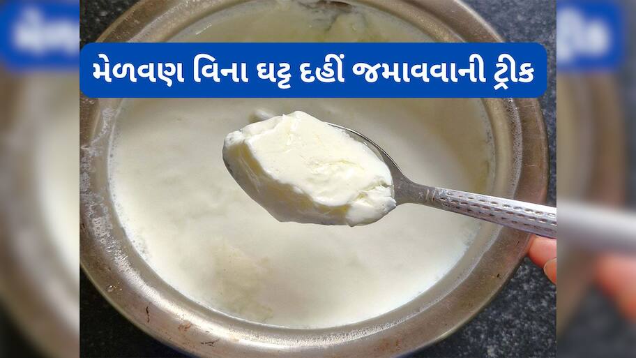 Curd: મેળવણ વિના દહીં જમાવવાની રીત, એકવાર ટ્રાય કરવા જેવો છે દાદી-નાનીનો આ નુસખો