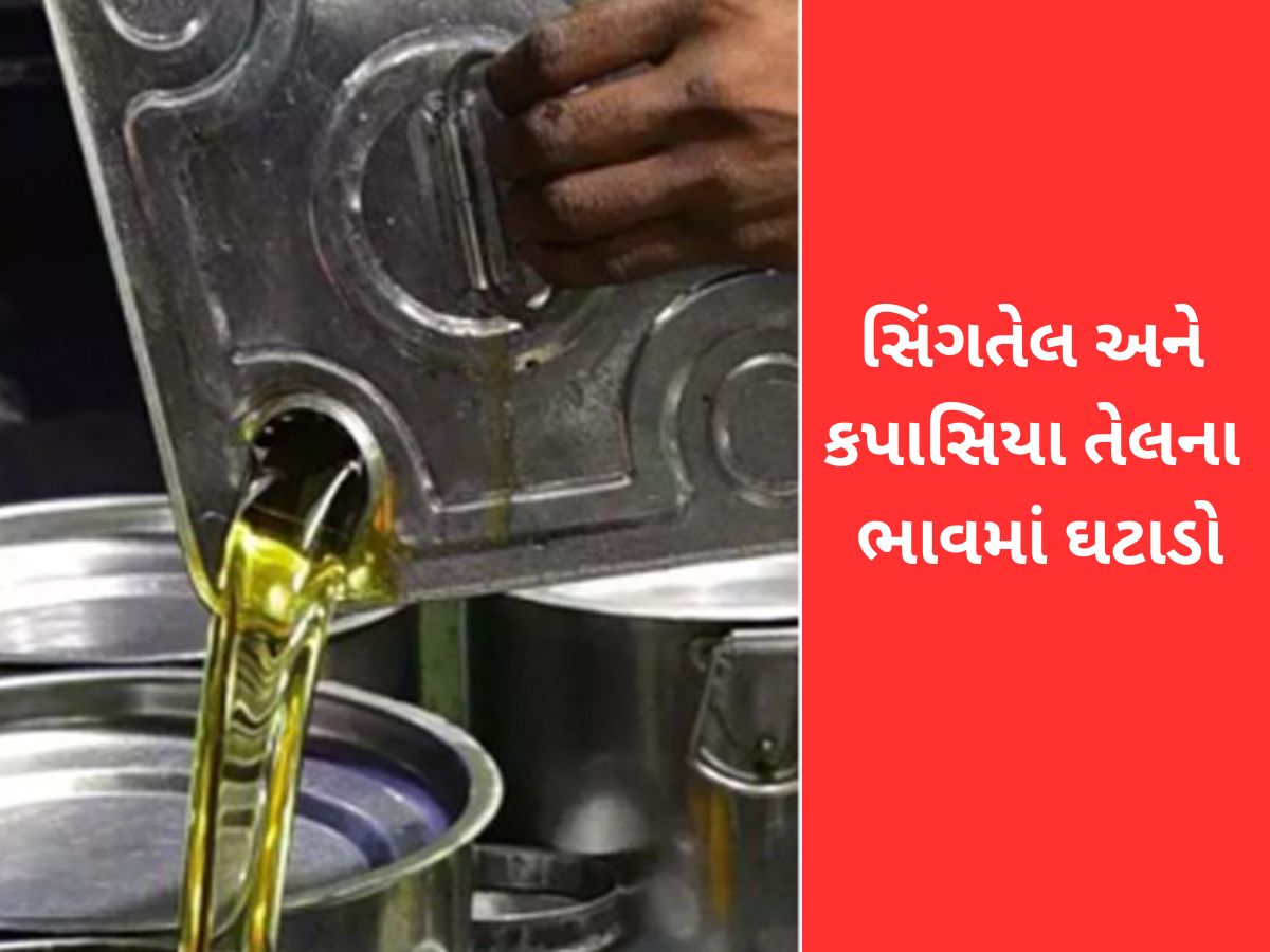 આજે ખૂલતા બજારે સિંગતેલ અને કપાસિયા તેલના ભાવમાં ઘટાડો, તહેવારોમાં બજેટ સુધરશે આજે ખૂલતા બજારે સિંગતેલ અને કપાસિયા તેલના ભાવમાં ઘટાડો, તહેવારોમાં બજેટ સુધરશે