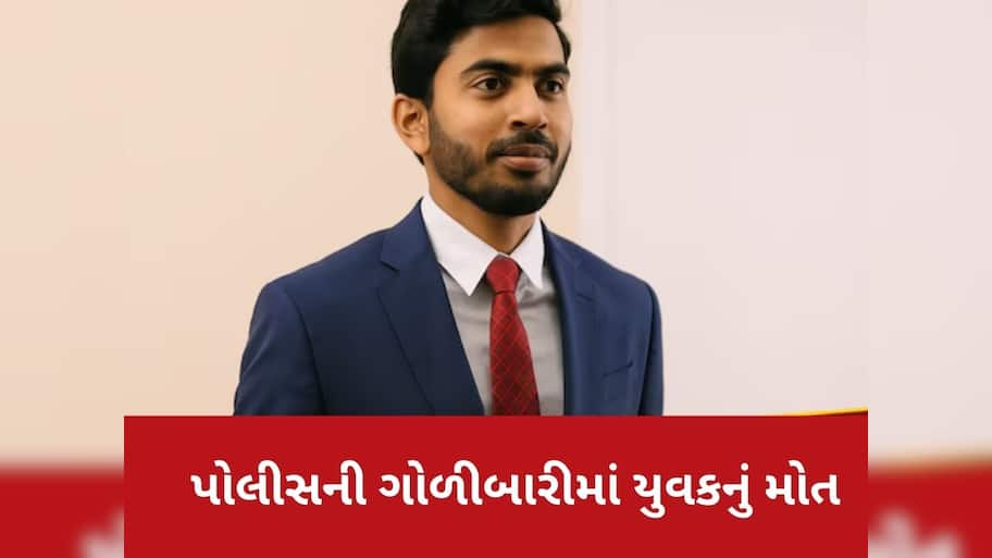  અમેરિકામાં ભારતીય સોફ્ટવેર એન્જિનિયરનું મોત, પોલીસે 4 ગોળી મારી, પરિવારે વિદેશ મંત્રાલય પાસે માંગી મદદ
