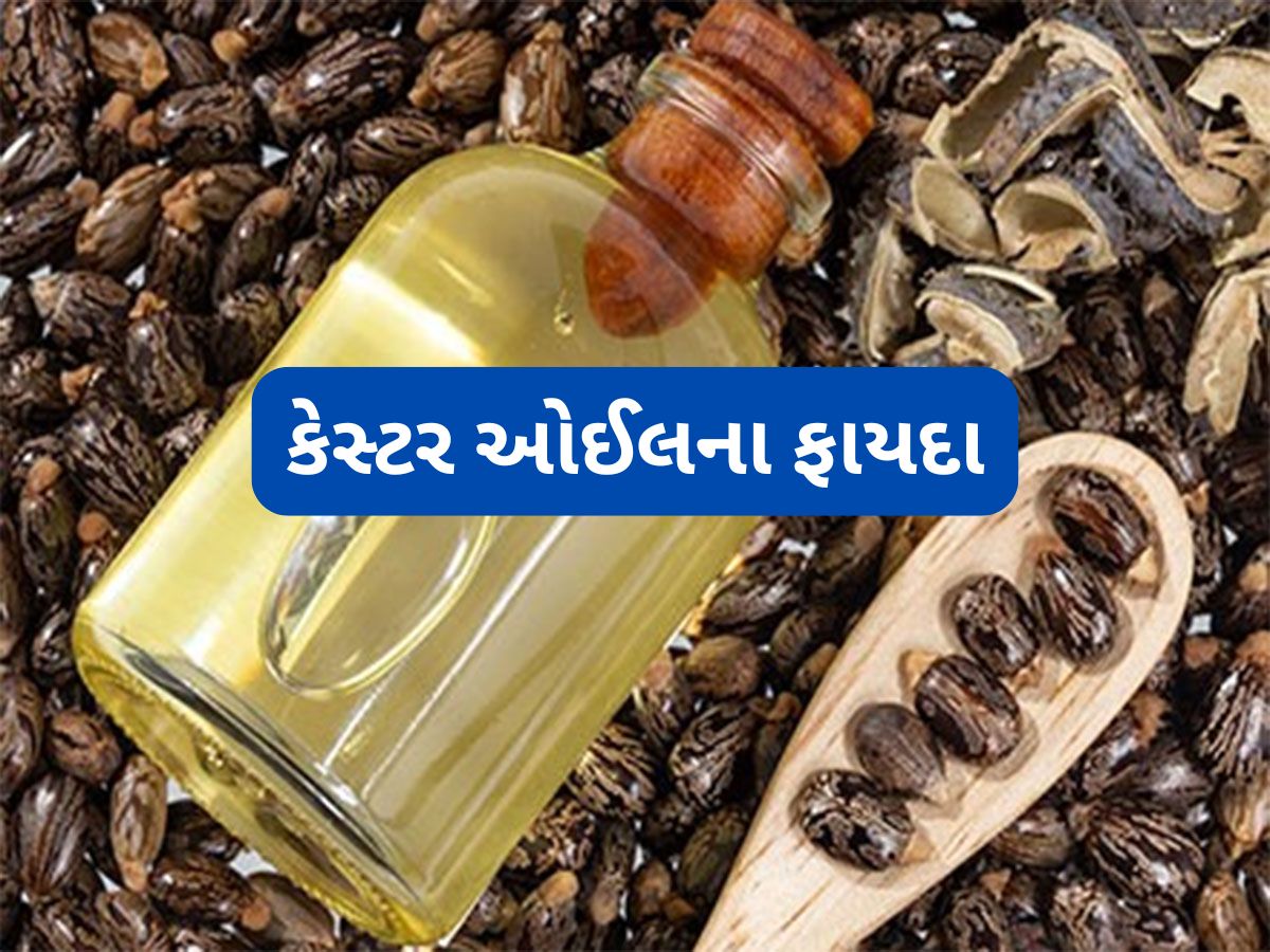 Castor Oil: ગેસ-બ્લોટિંગમાં કેસ્ટર ઓઈલ દવાની જેમ અસર કરશે, જાણો ઉપયોગ કેવી રીતે કરવો Castor Oil: ગેસ-બ્લોટિંગમાં કેસ્ટર ઓઈલ દવાની જેમ અસર કરશે, જાણો ઉપયોગ કેવી રીતે કરવો