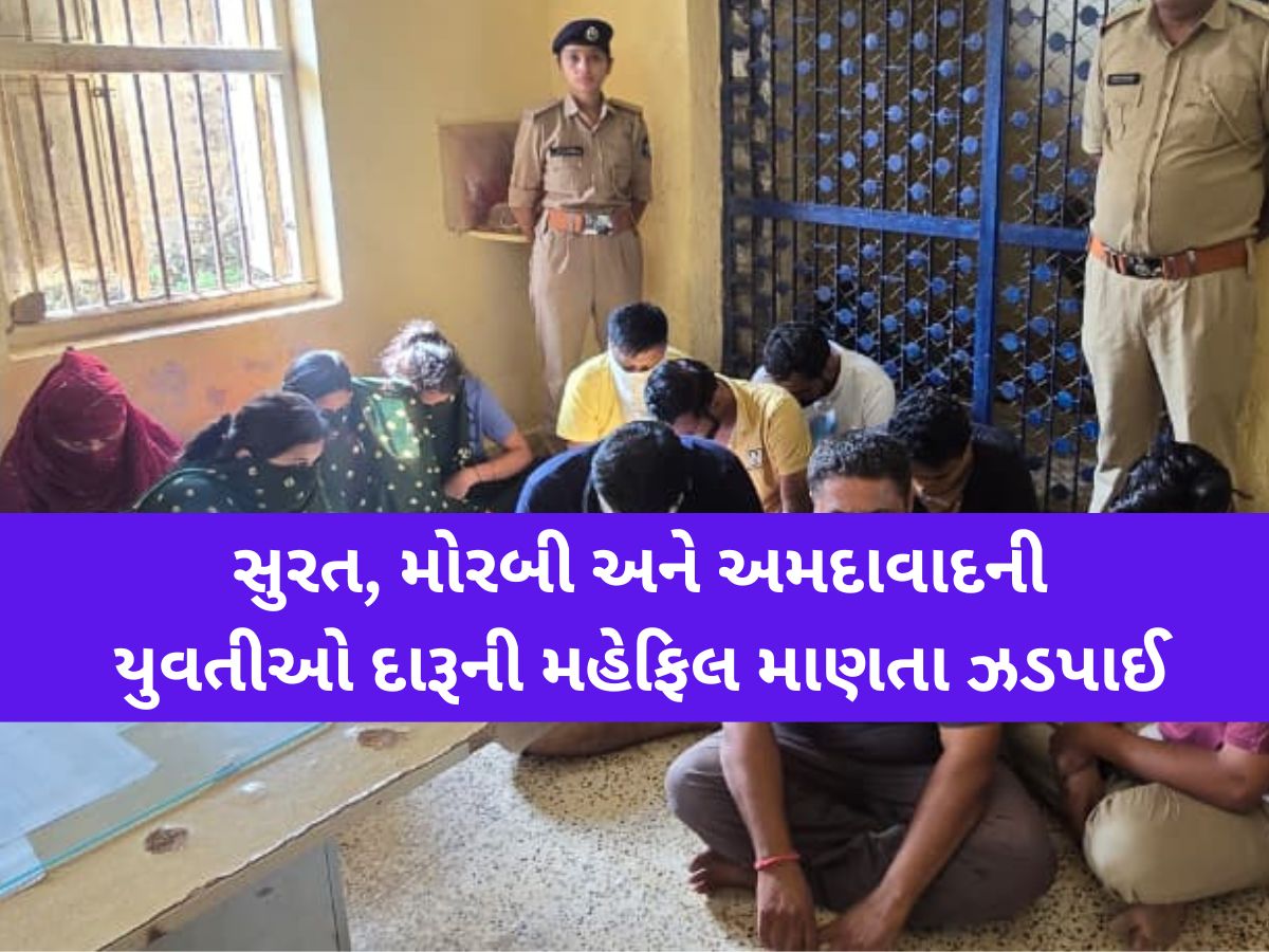 રંગમાં પડ્યો ભંગ! ગીરમાં હાઇપ્રોફાઇલ દારૂની મહેફિલનો પર્દાફાશ, 11 યુવક-યુવતીઓ ઝડપાયા રંગમાં પડ્યો ભંગ! ગીરમાં હાઇપ્રોફાઇલ દારૂની મહેફિલનો પર્દાફાશ, 11 યુવક-યુવતીઓ ઝડપાયા