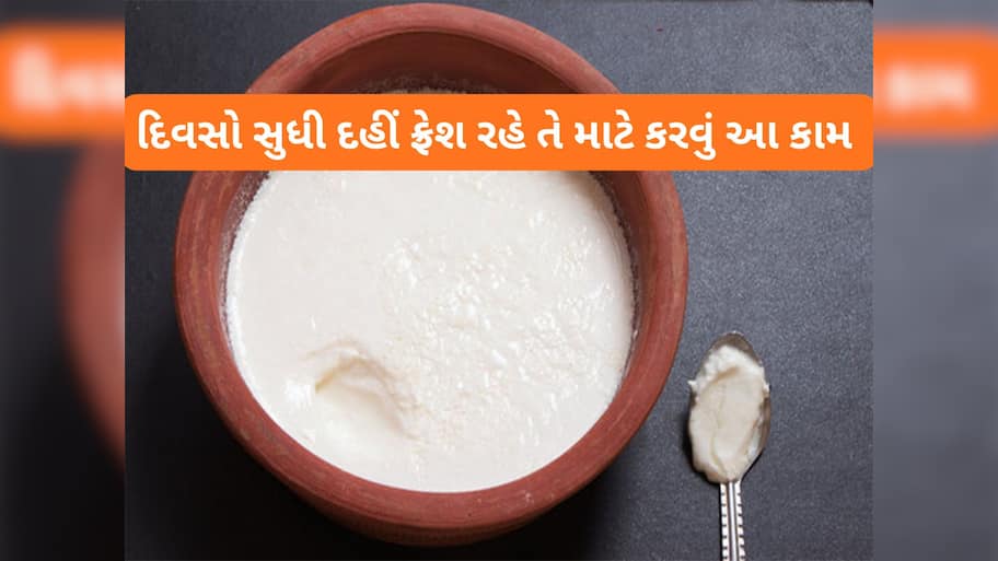 Curd: 2 જ દિવસમાં દહીં વાસી લાગવા લાગે છે ? તો હવે દહીં જમાવો ત્યારે આ 4 કામ કરજો, દિવસો સુધી દહીં ફ્રેશ રહેશે