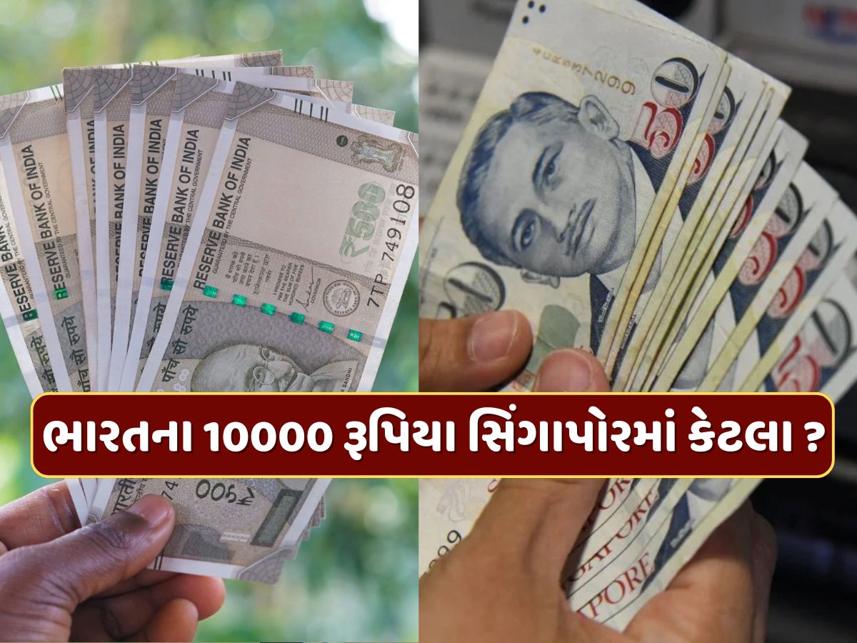 ભારતના 10,000 રૂપિયા સિંગાપોરમાં કેટલા થાય ? જાણો ત્યાંનું ચલણ કેટલું મજબૂત છે ? ભારતના 10,000 રૂપિયા સિંગાપોરમાં કેટલા થાય ? જાણો ત્યાંનું ચલણ કેટલું મજબૂત છે ?