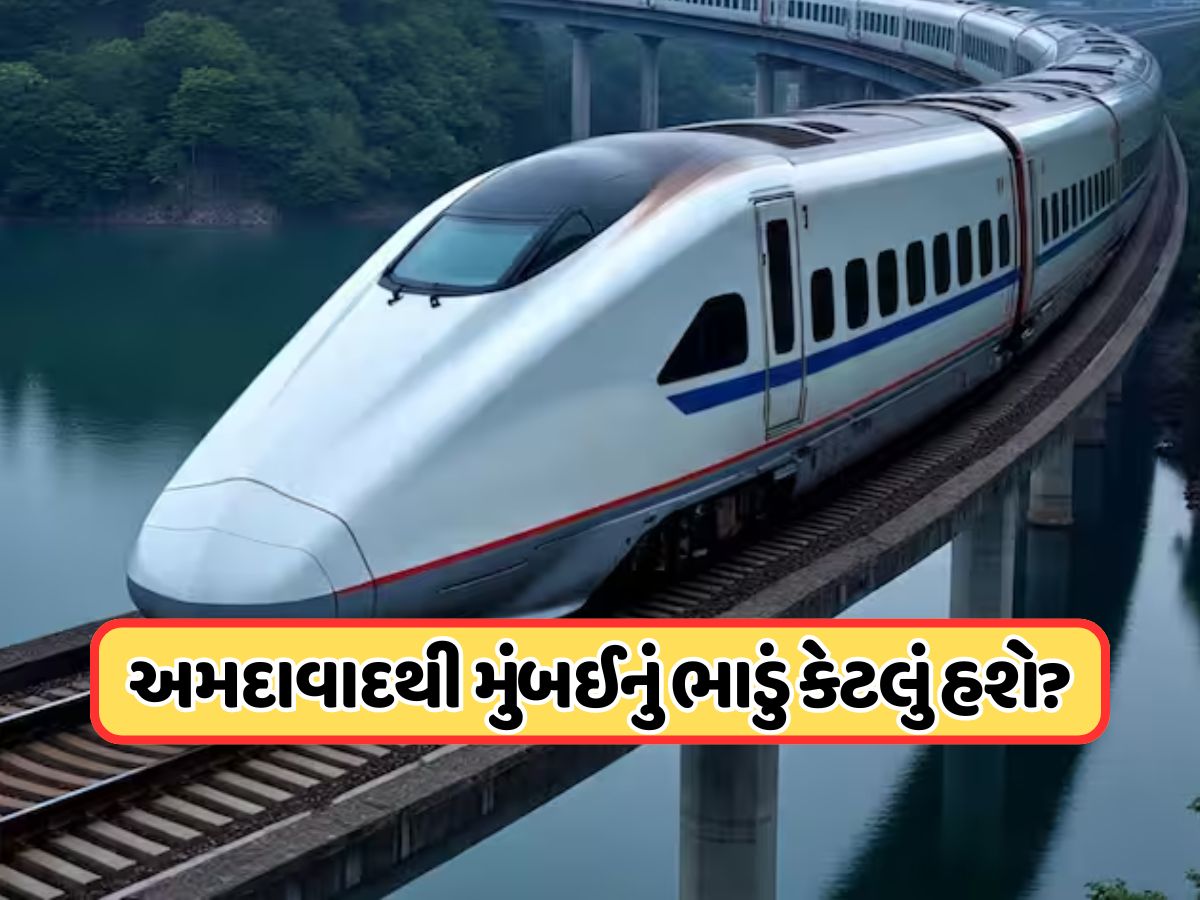 ક્યારે દોડશે ભારતની પહેલી બુલેટ ટ્રેન ? અમદાવાદથી મુંબઈ વચ્ચે બની રહેલા કોરિડોર પર આવી એક મોટી અપડેટ ક્યારે દોડશે ભારતની પહેલી બુલેટ ટ્રેન ? અમદાવાદથી મુંબઈ વચ્ચે બની રહેલા કોરિડોર પર આવી એક મોટી અપડેટ