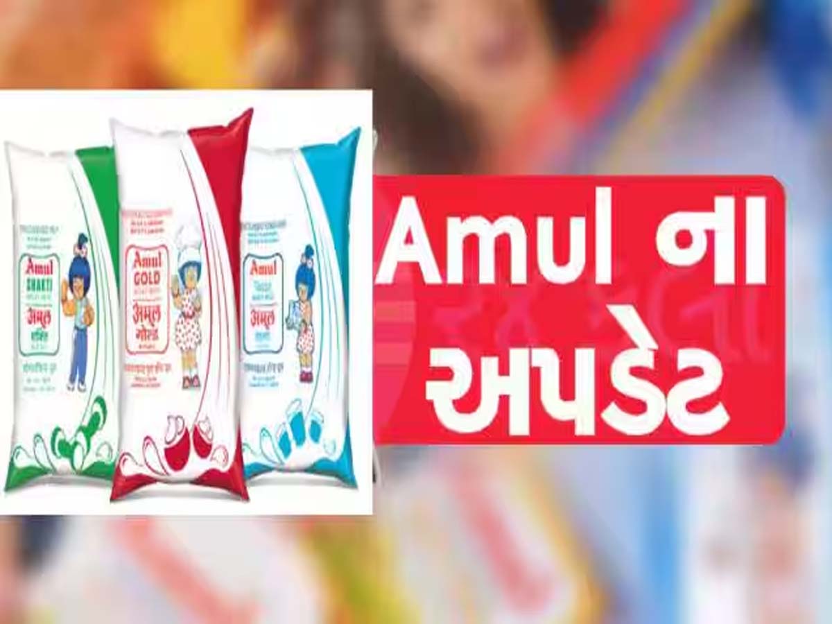 નવરાત્રિ પહેલા અમૂલની ગુજરાતને મોટી ભેટ; દૂધ-ઘી-બટર સહિત 700 પ્રોડક્ટના ભાવમાં ઘટાડો નવરાત્રિ પહેલા અમૂલની ગુજરાતને મોટી ભેટ; દૂધ-ઘી-બટર સહિત 700 પ્રોડક્ટના ભાવમાં ઘટાડો