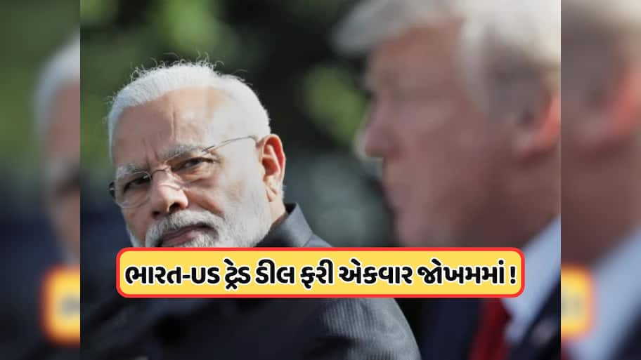 ભારત-અમેરિકા ટ્રેડ ડીલ પર સંકટ, પિયુષ ગોયલ જશે અમેરિકા, જાણો ટ્રમ્પની નવી H1-B વિઝા નીતિ કેમ બનશે અવરોધરૂપ