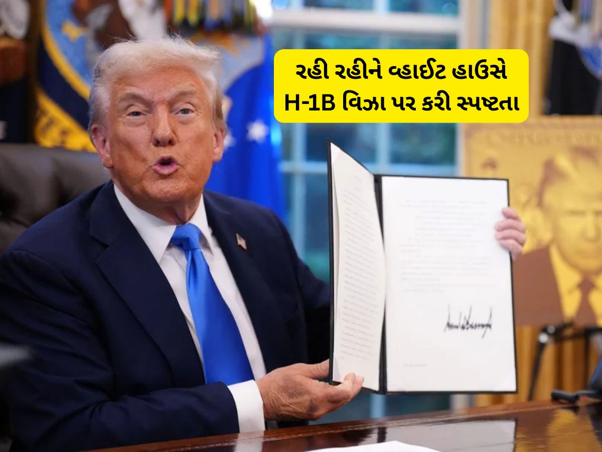 તબેલામાંથી ઘોડા છૂટ્યા બાદ વ્હાઈટ હાઉસે H-1B વિઝા પર કરી સ્પષ્ટતા, આ વન ટાઈમ ફી છે! તબેલામાંથી ઘોડા છૂટ્યા બાદ વ્હાઈટ હાઉસે H-1B વિઝા પર કરી સ્પષ્ટતા, આ વન ટાઈમ ફી છે!