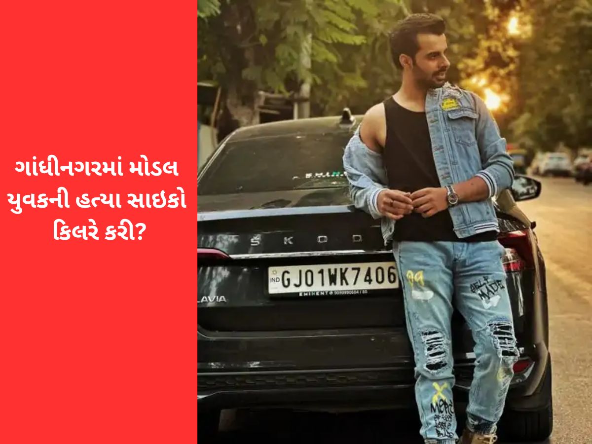 ગાંધીનગર લૂંટ વિથ મર્ડરમાં મોટો પુરાવો હાથ લાગ્યો : CCTV માં કેનાલ પાસે જતો શખ્સ દેખાયો, સાઈકો કિલરની શક્યતા ગાંધીનગર લૂંટ વિથ મર્ડરમાં મોટો પુરાવો હાથ લાગ્યો : CCTV માં કેનાલ પાસે જતો શખ્સ દેખાયો, સાઈકો કિલરની શક્યતા