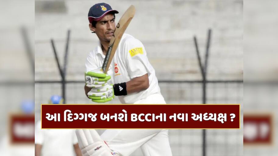 કોણ છે મિથુન મન્હાસ ? જે બની શકે છે BCCIના નવા અધ્યક્ષ, ક્રિકેટ કરિયર રહ્યું છે શાનદાર