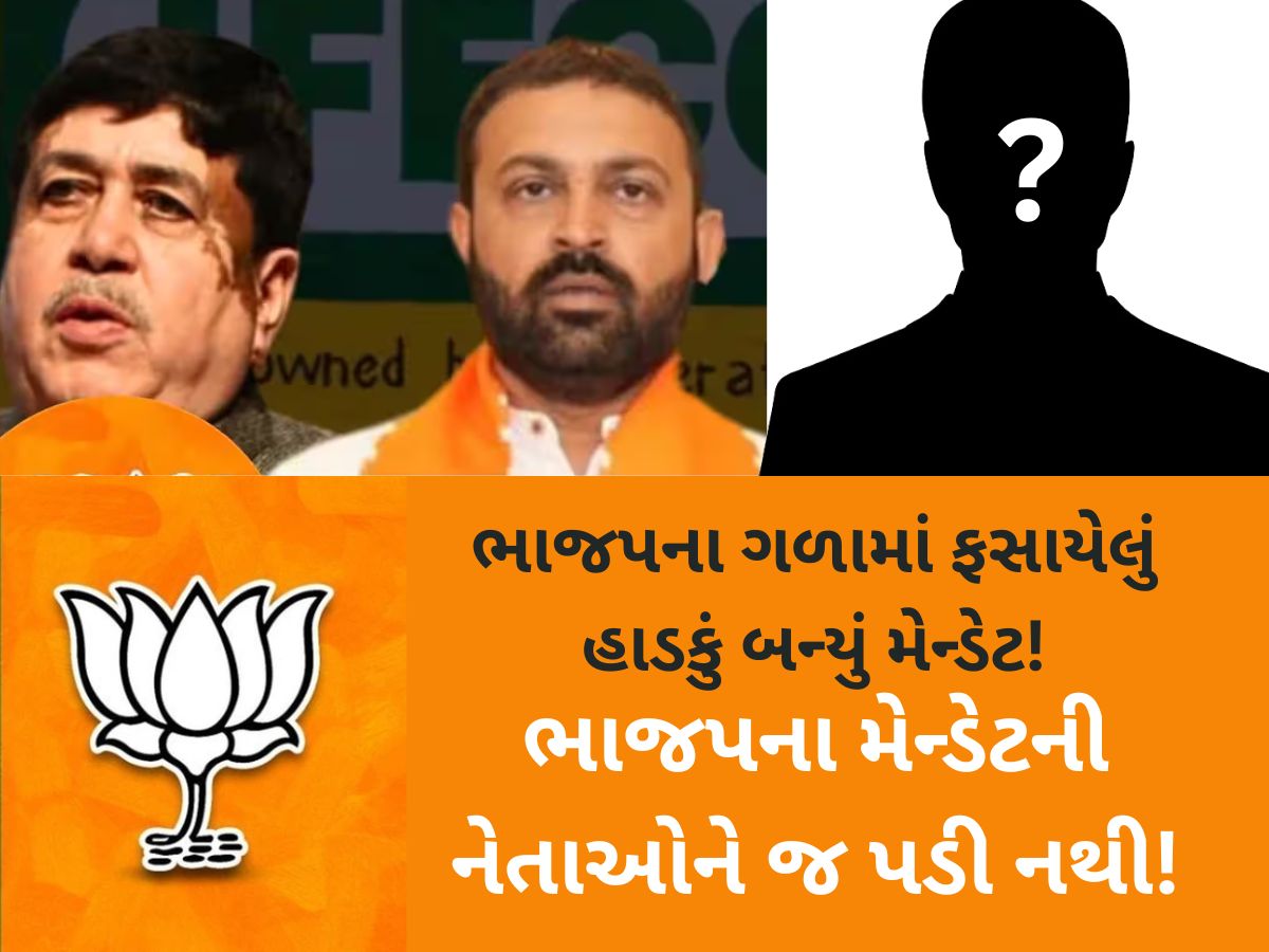 ભાજપના મેન્ડેટની ઐસી કી તૈસી! દૂધધારા બાદ હવે બનાસ ડેરીમાં મેન્ડેટનો ઉલાળિયો કરવા નેતાઓ તૈયાર ભાજપના મેન્ડેટની ઐસી કી તૈસી! દૂધધારા બાદ હવે બનાસ ડેરીમાં મેન્ડેટનો ઉલાળિયો કરવા નેતાઓ તૈયાર