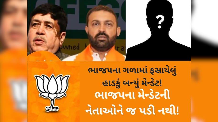 ભાજપના મેન્ડેટની ઐસી કી તૈસી! દૂધધારા બાદ હવે બનાસ ડેરીમાં મેન્ડેટનો ઉલાળિયો કરવા નેતાઓ તૈયાર