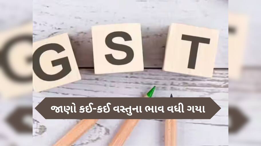 આજથી મોંઘી થઈ ગઈ આ વસ્તુ, કિંમત જાણી ઉડી જશે હોશ, જાણો મોટી વાતો