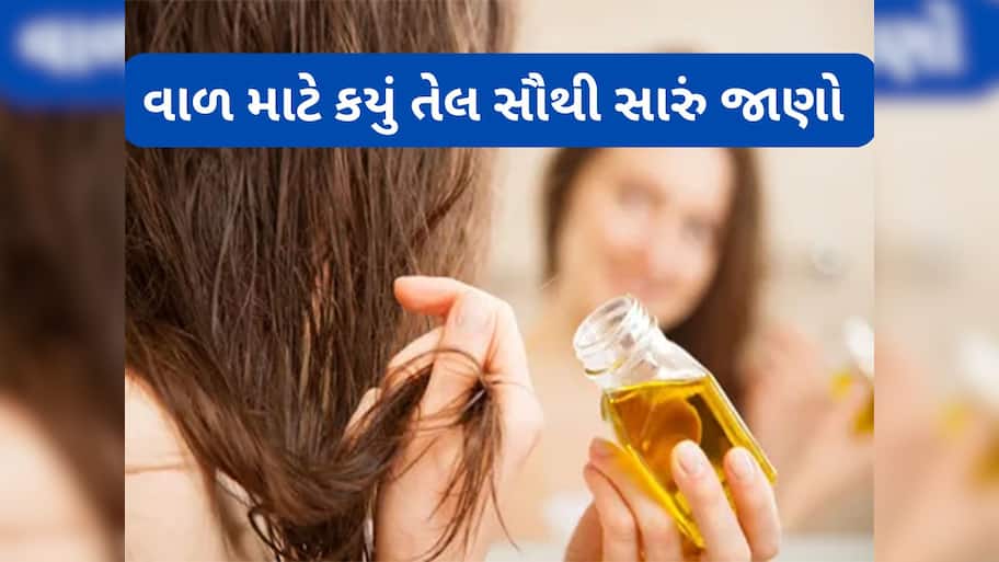 Hair Oil: આમળા કે ભૃંગરાજ.. કયું તેલ લગાડવાથી વાળનો ગ્રોથ ઝડપથી થાય ?