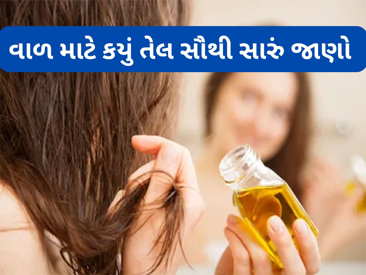 Hair Oil: આમળા કે ભૃંગરાજ.. કયું તેલ લગાડવાથી વાળનો ગ્રોથ ઝડપથી થાય ? Hair Oil: આમળા કે ભૃંગરાજ.. કયું તેલ લગાડવાથી વાળનો ગ્રોથ ઝડપથી થાય ?
